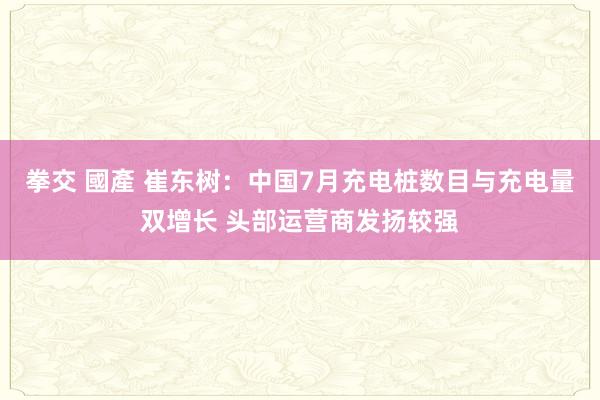拳交 國產 崔东树:中国7月充电桩数目与充电量双增长 头部运营商发扬较强