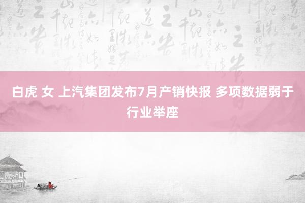 白虎 女 上汽集团发布7月产销快报 多项数据弱于行业举座