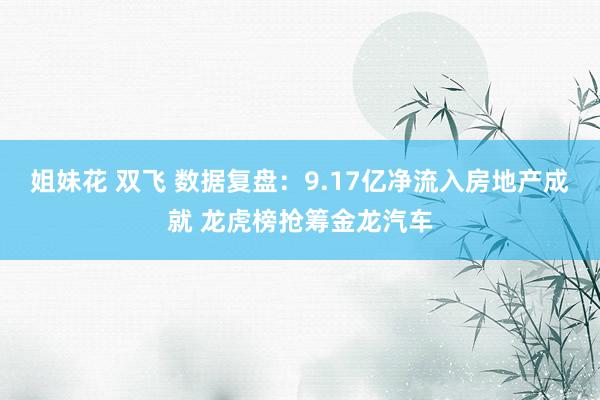 姐妹花 双飞 数据复盘：9.17亿净流入房地产成就 龙虎榜抢筹金龙汽车