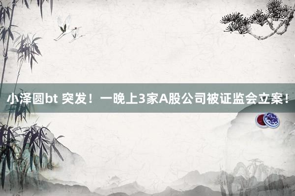 小泽圆bt 突发！一晚上3家A股公司被证监会立案！