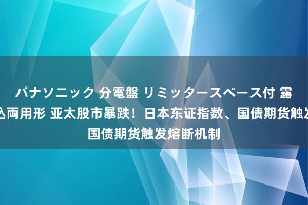 パナソニック 分電盤 リミッタースペース付 露出・半埋込両用形 亚太股市暴跌！日本东证指数、国债期货触发熔断机制
