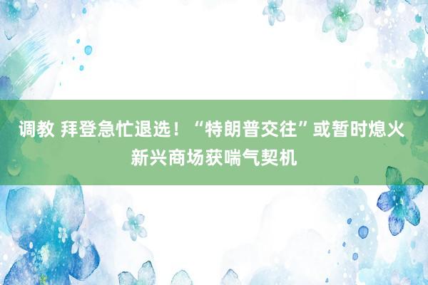 调教 拜登急忙退选！“特朗普交往”或暂时熄火 新兴商场获喘气契机