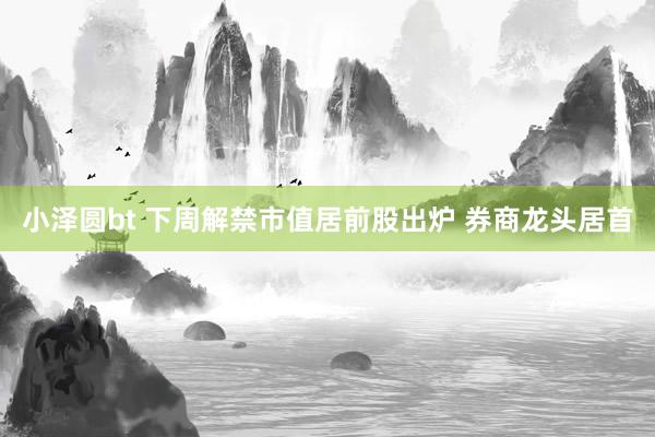 小泽圆bt 下周解禁市值居前股出炉 券商龙头居首