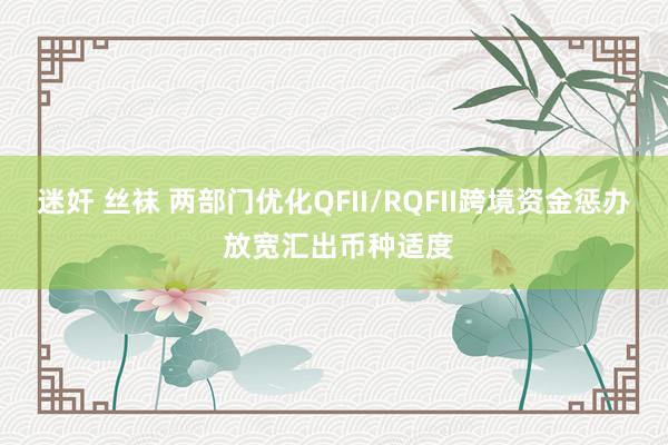 迷奸 丝袜 两部门优化QFII/RQFII跨境资金惩办 放宽汇出币种适度