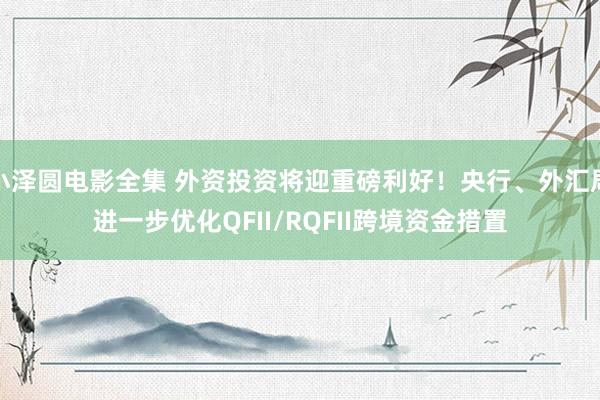 小泽圆电影全集 外资投资将迎重磅利好！央行、外汇局进一步优化QFII/RQFII跨境资金措置
