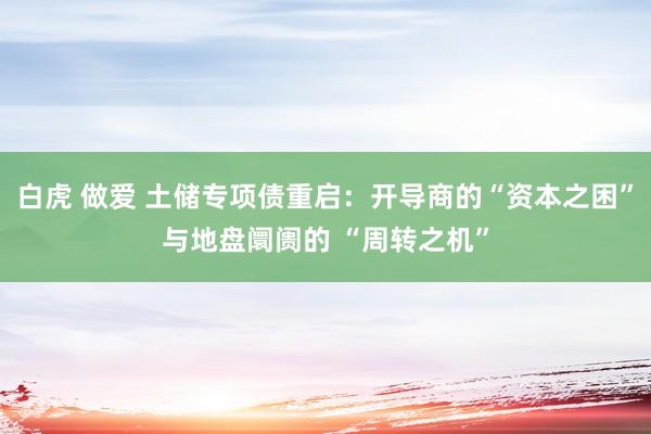 白虎 做爱 土储专项债重启：开导商的“资本之困”与地盘阛阓的 “周转之机”