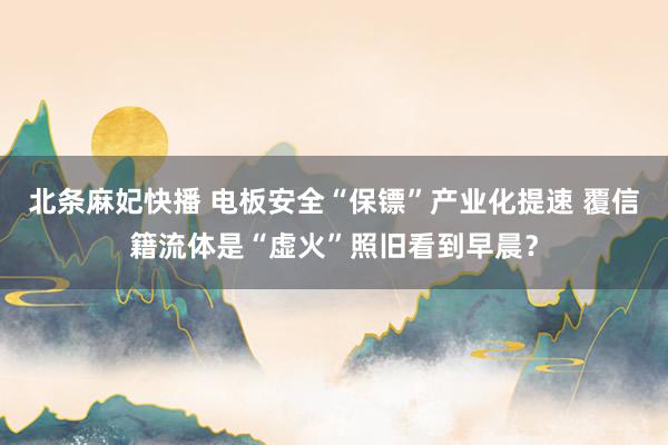 北条麻妃快播 电板安全“保镖”产业化提速 覆信籍流体是“虚火”照旧看到早晨？