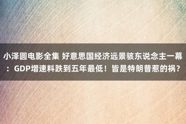 小泽圆电影全集 好意思国经济远景骇东说念主一幕：GDP增速料跌到五年最低！皆是特朗普惹的祸？