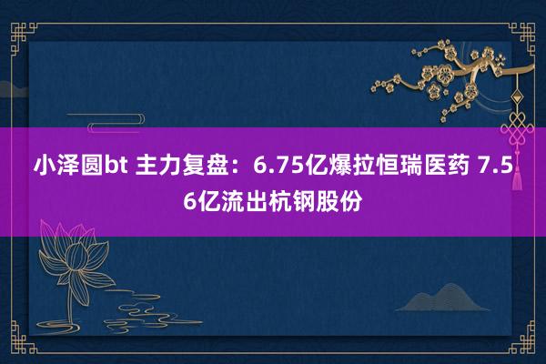 小泽圆bt 主力复盘：6.75亿爆拉恒瑞医药 7.56亿流出杭钢股份