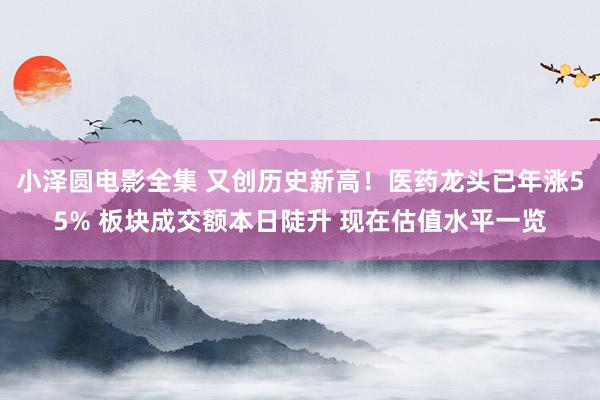小泽圆电影全集 又创历史新高！医药龙头已年涨55% 板块成交额本日陡升 现在估值水平一览